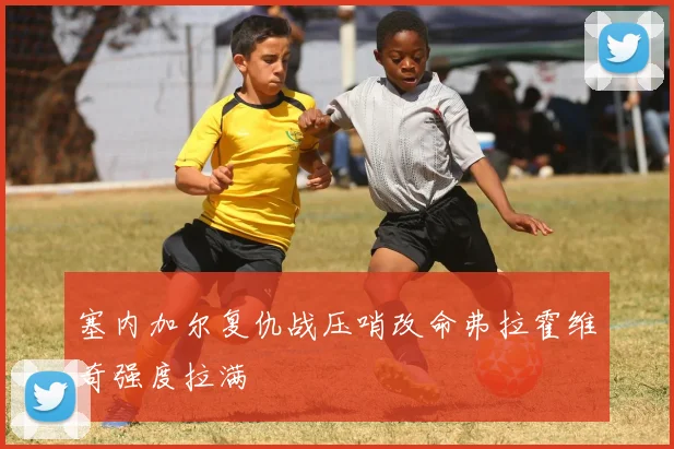塞内加尔复仇战压哨改命弗拉霍维奇强度拉满