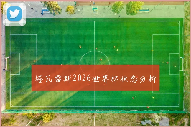 塔瓦雷斯2026世界杯状态分析