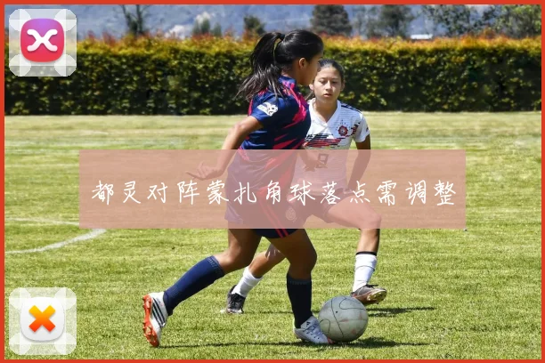 都灵对阵蒙扎角球落点需调整
